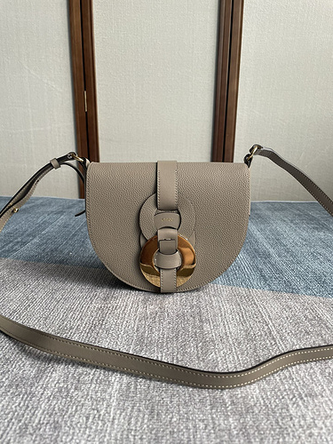 Chloe New Darryl Elegant Light Gray saddle bag number 6049-e466ed55